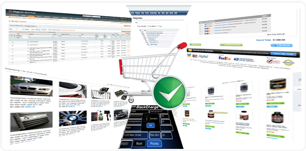 e-Commerce Consulting